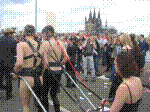 csd3.jpg