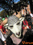 394-regenbogenparade260604.jpg