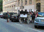 950M175-7516_IMG.jpg