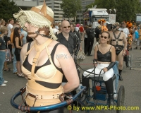 npx-preview146.jpg