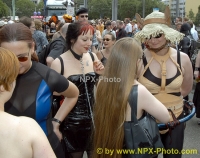 npx-preview152.jpg